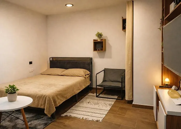 Modern Private Loft Metro Nearby Practical Apartment Mexico City